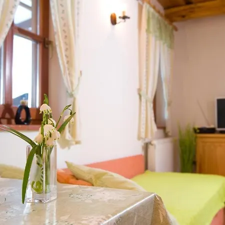 Planinca -hisa Z Razgledom Smarje pri Jelsah