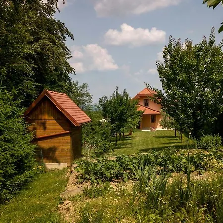 Planinca -hisa Z Razgledom * Šmarje pri Jelšah