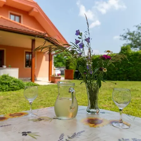 Planinca -hisa Z Razgledom *