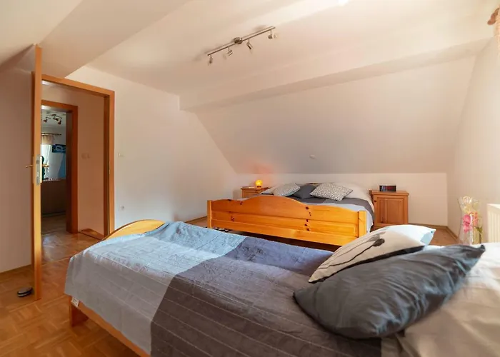 Planinca -hisa Z Razgledom Lejlighed