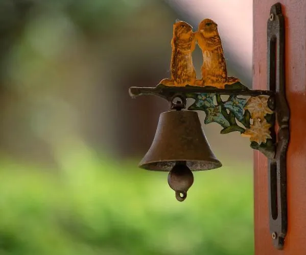 Planinca -hisa Z Razgledom Smarje pri Jelsah