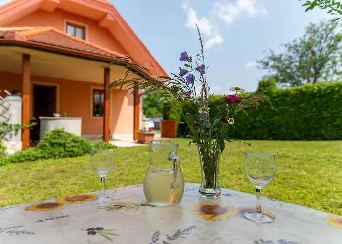 Planinca -hisa Z Razgledom *