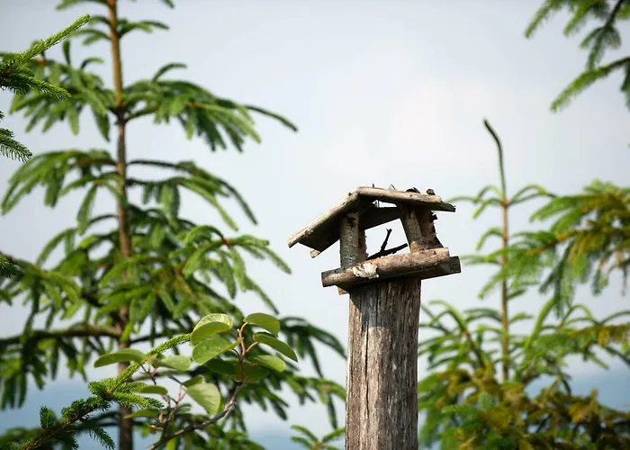 Lejlighed Planinca -hisa Z Razgledom *